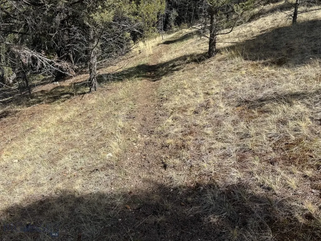 Tbd Lone Pine Gulch Road Ramsay MT 59748