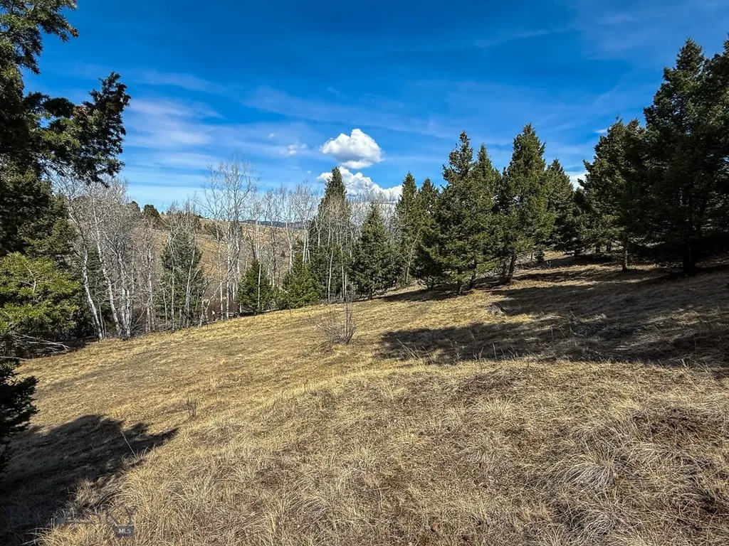 Tbd Lone Pine Gulch Road Ramsay MT 59748