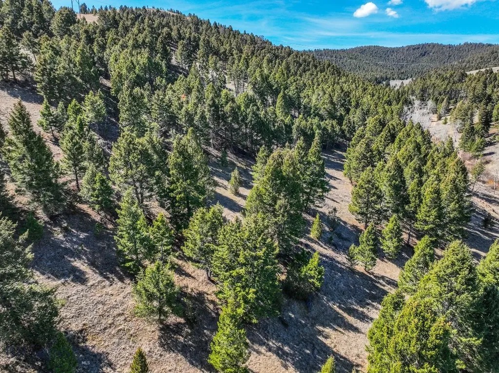 Tbd Lone Pine Gulch Road Ramsay MT 59748