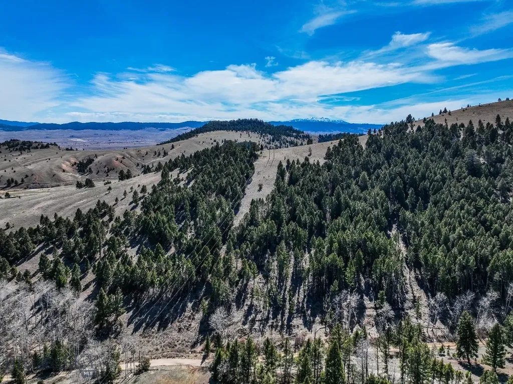 Tbd Lone Pine Gulch Road Ramsay MT 59748