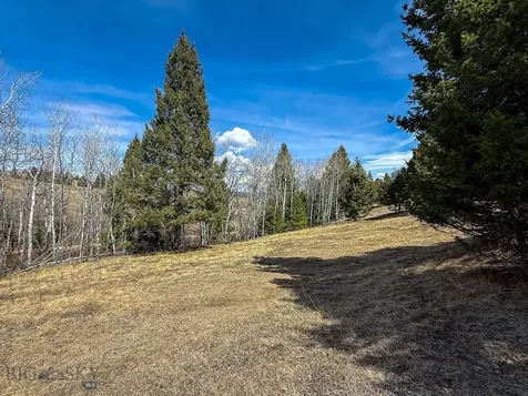 TBD Lone Pine Gulch Road Ramsay MT 59748