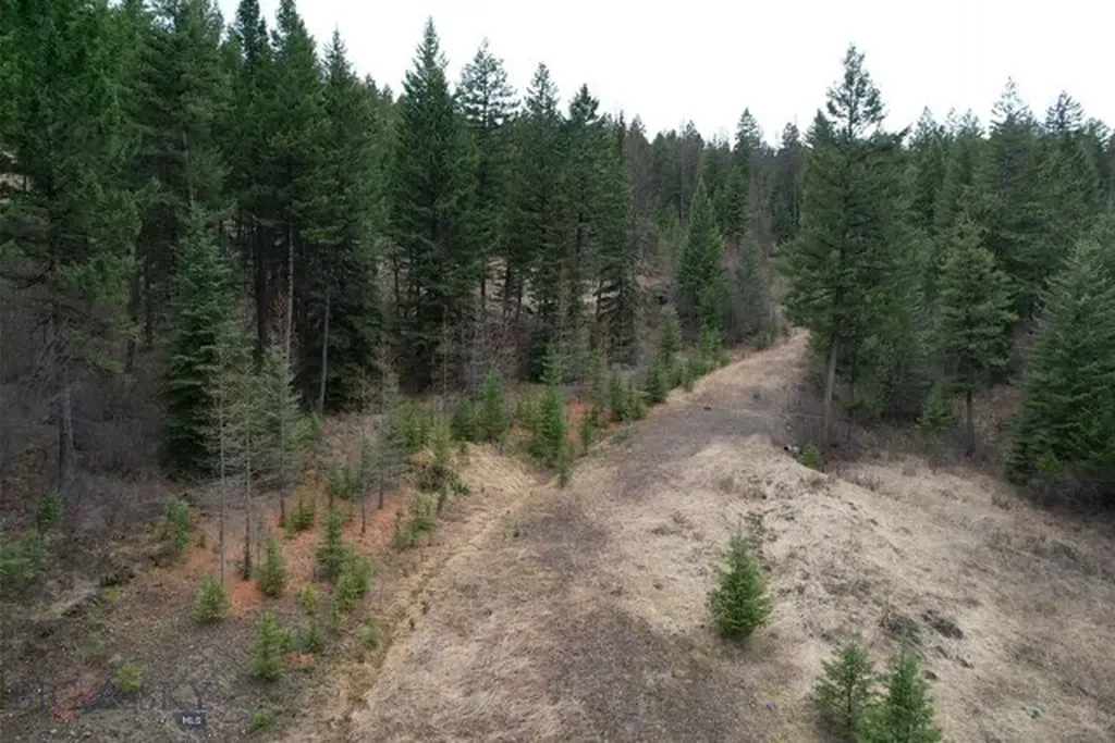 Nhn Bent Pine Lane Kila MT 59920