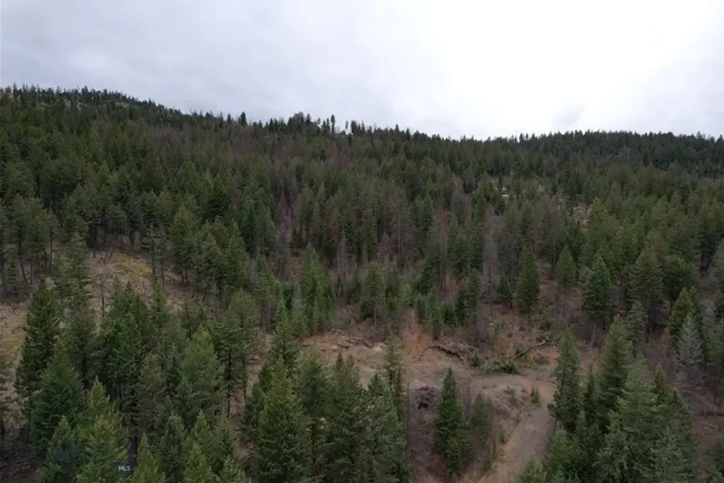 Nhn Bent Pine Lane Kila MT 59920
