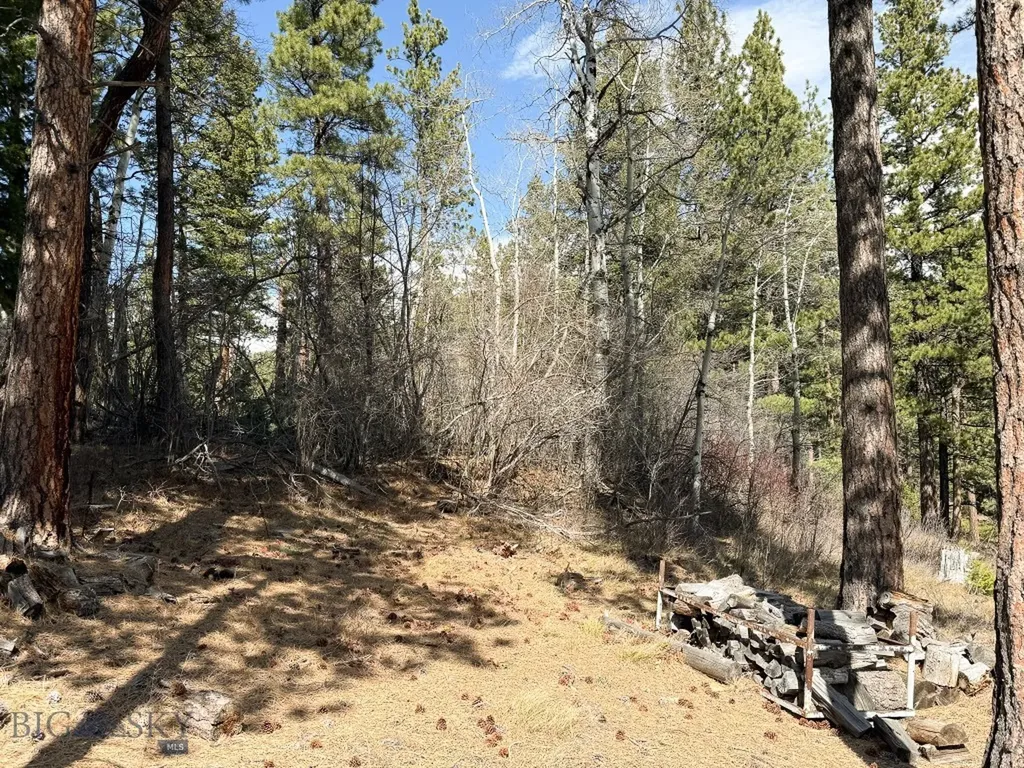 4220 Denton Gulch Road Wolf Creek MT 59648