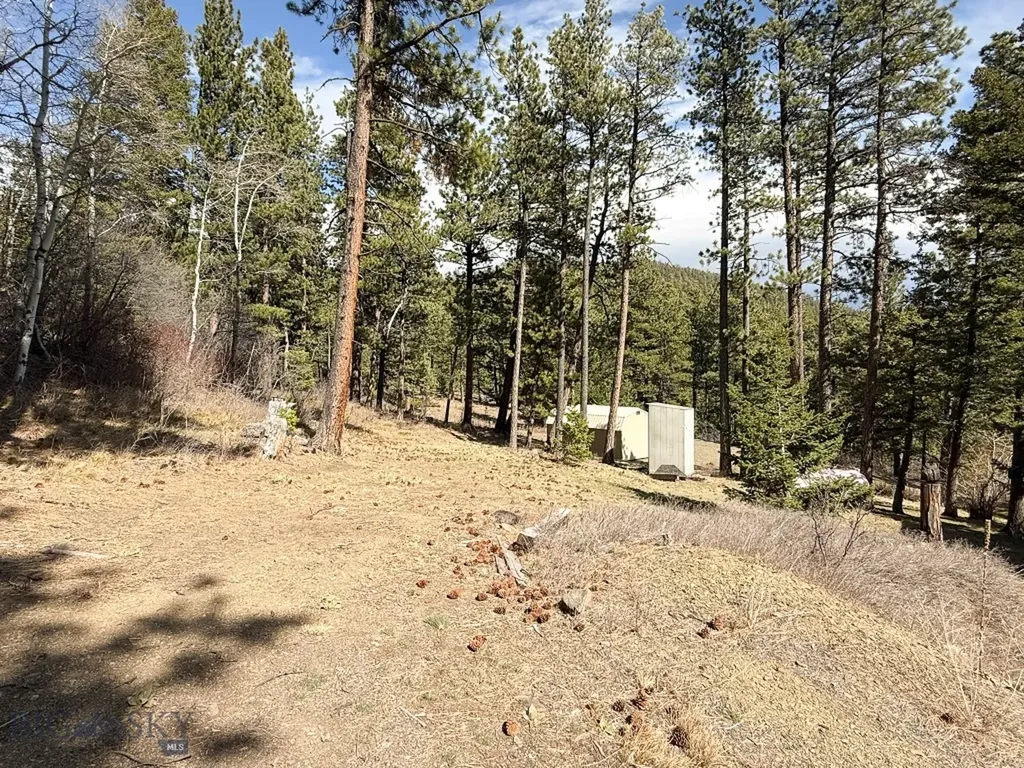 4220 Denton Gulch Road Wolf Creek MT 59648