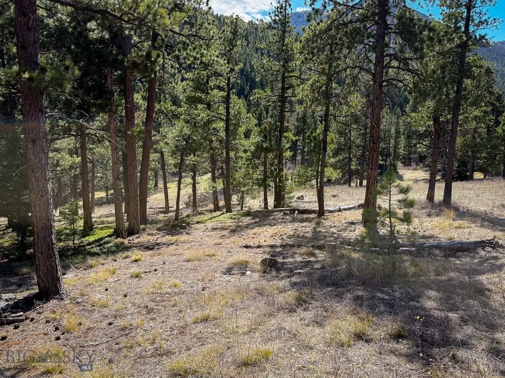 4220 Denton Gulch Road Wolf Creek MT 59648
