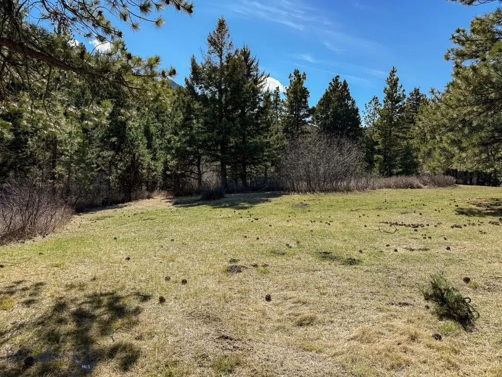 4220 Denton Gulch Road Wolf Creek MT 59648