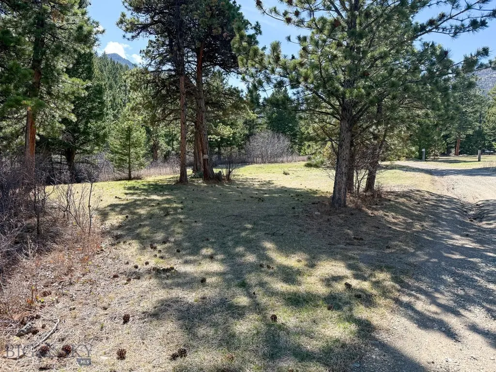 4220 Denton Gulch Road Wolf Creek MT 59648