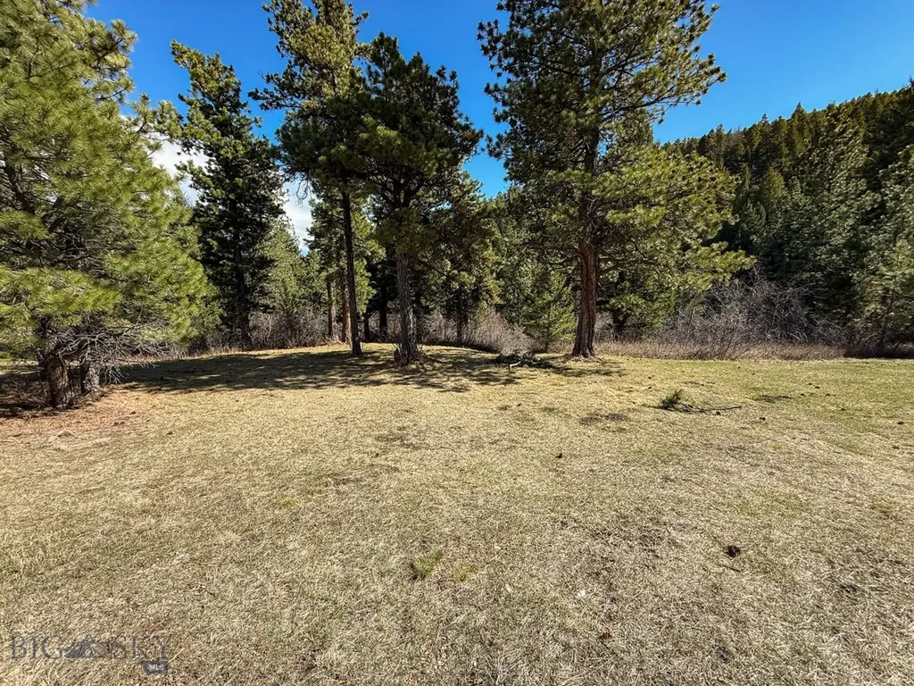 4220 Denton Gulch Road Wolf Creek MT 59648