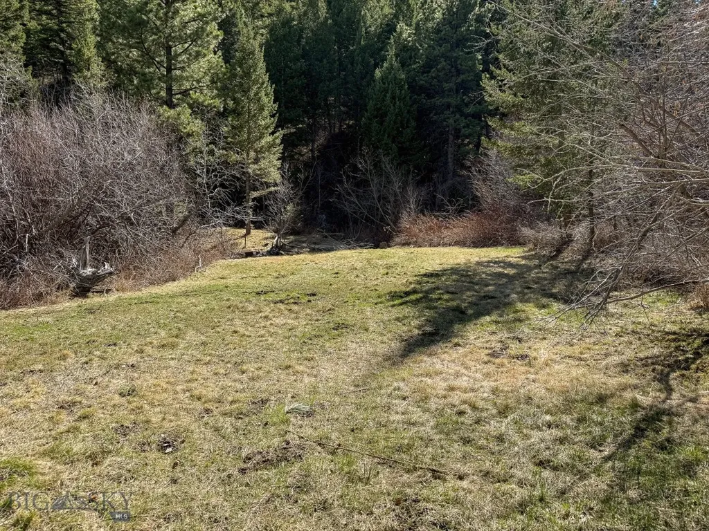 4220 Denton Gulch Road Wolf Creek MT 59648