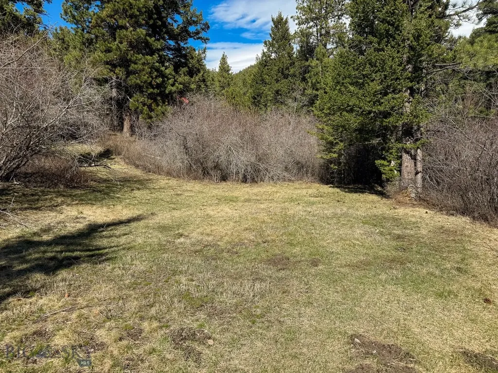 4220 Denton Gulch Road Wolf Creek MT 59648