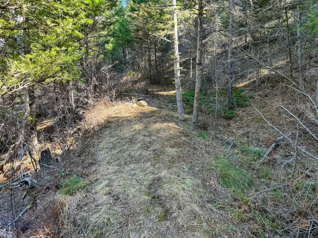 4220 Denton Gulch Road Wolf Creek MT 59648