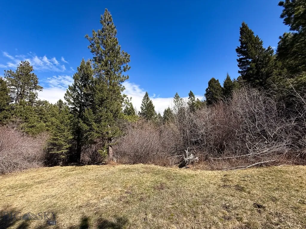 4220 Denton Gulch Road Wolf Creek MT 59648