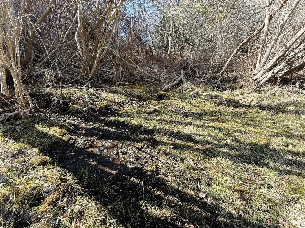 4220 Denton Gulch Road Wolf Creek MT 59648