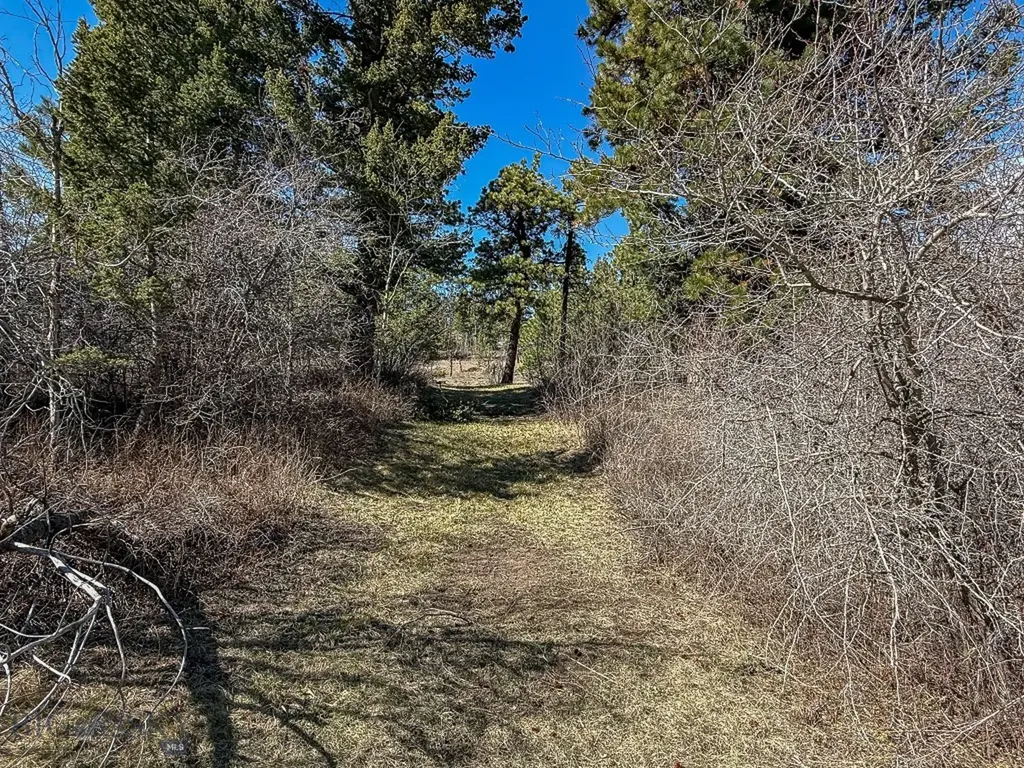 4220 Denton Gulch Road Wolf Creek MT 59648