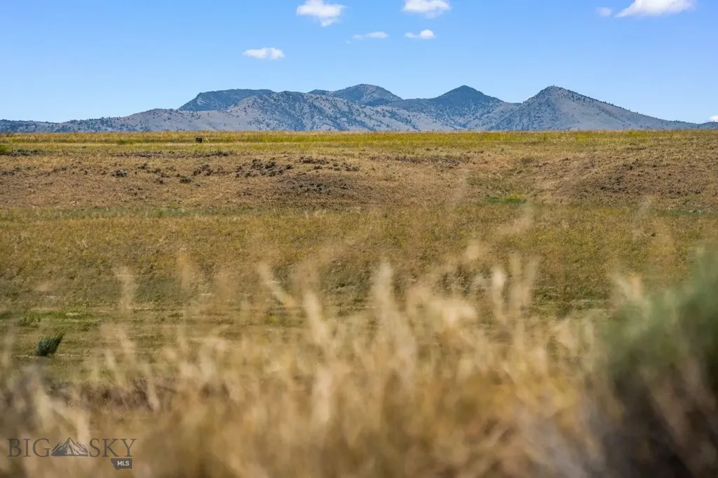 Three Forks MT 59752