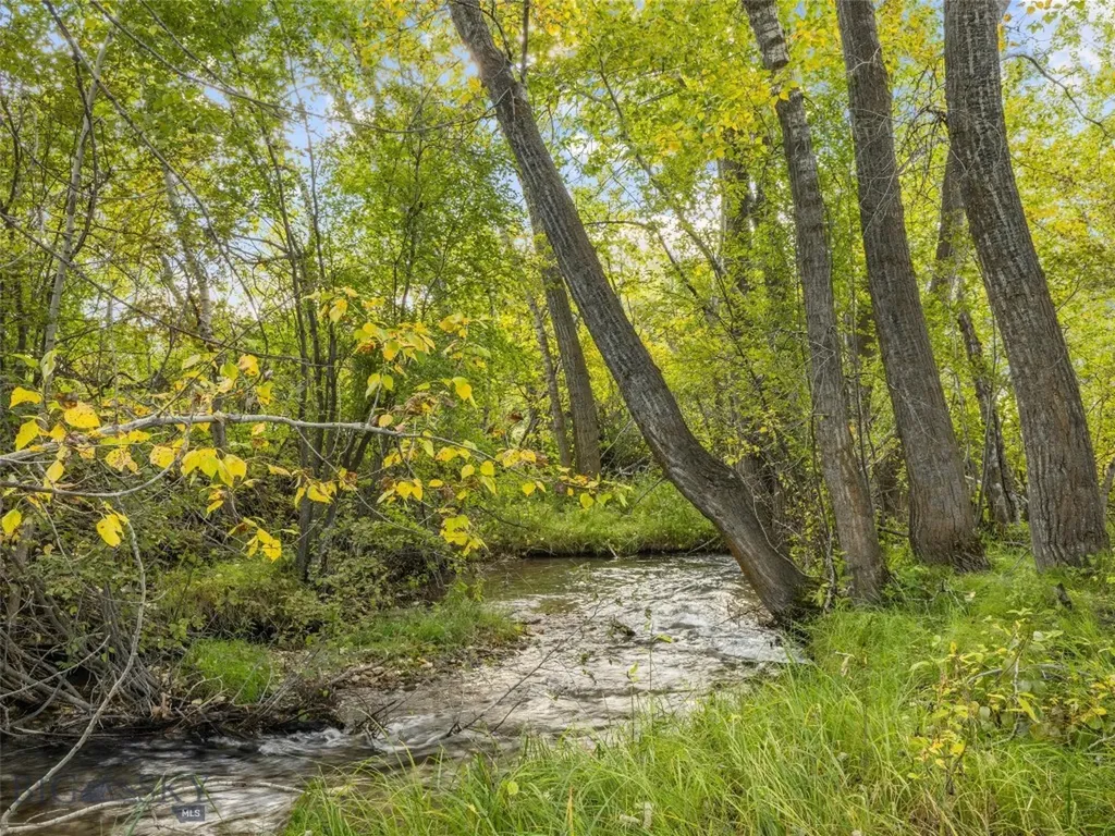 Tbd Springhill Community Road Belgrade MT 59714