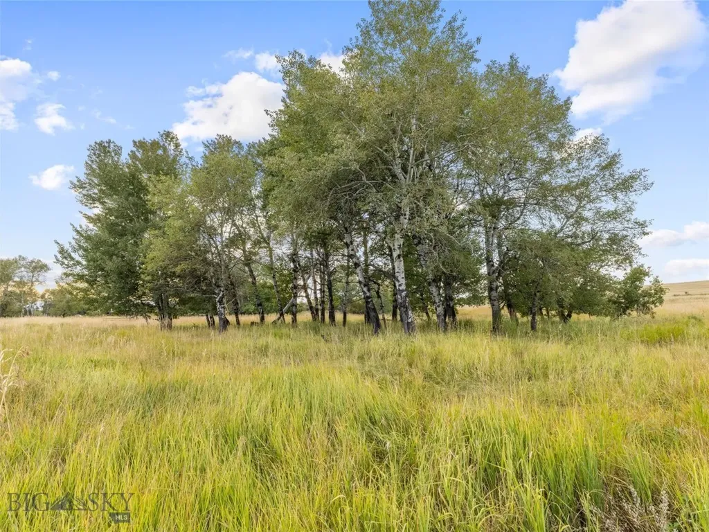Tbd Springhill Community Road Belgrade MT 59714