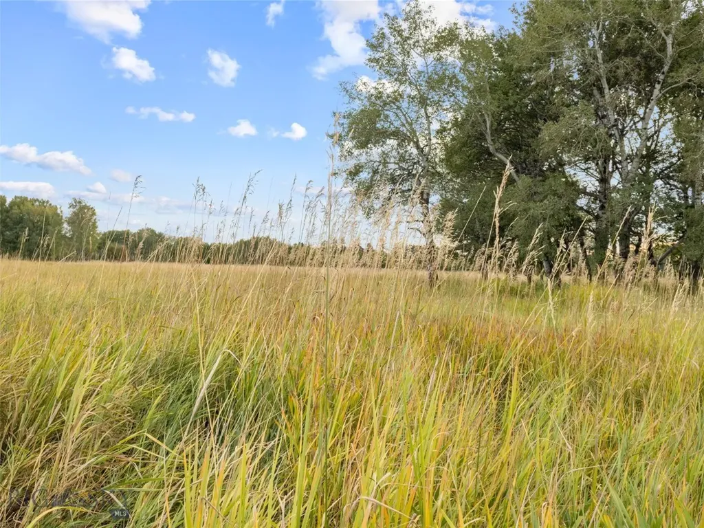 Tbd Springhill Community Road Belgrade MT 59714