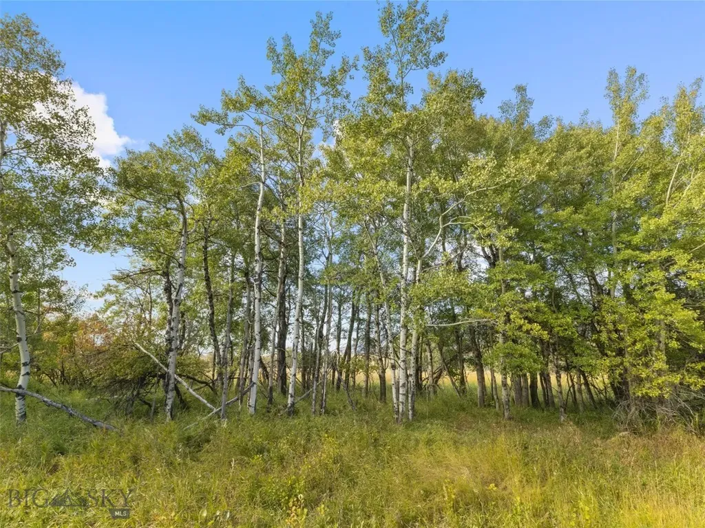 Tbd Springhill Community Road Belgrade MT 59714