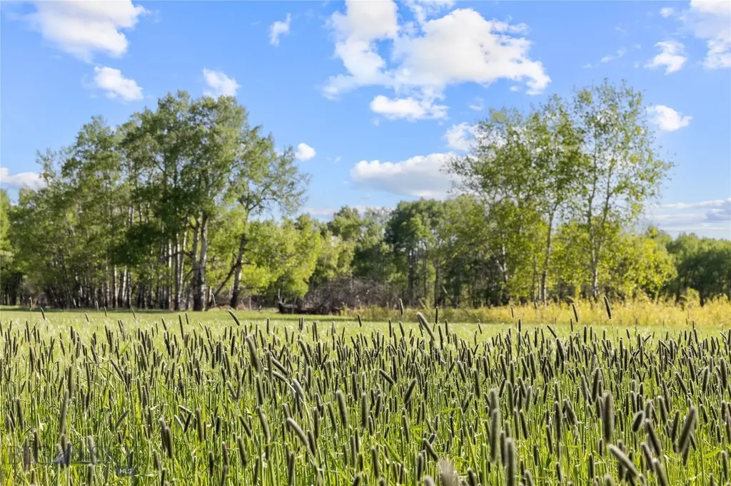 Tbd Springhill Community Road Belgrade MT 59714