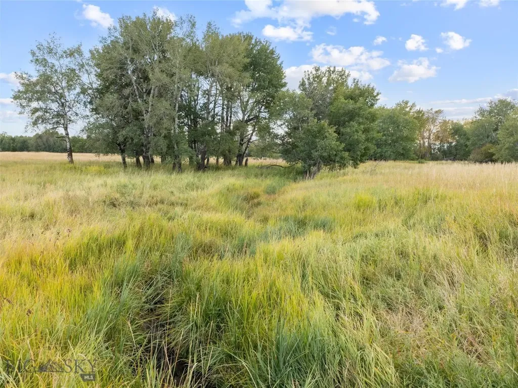 Tbd Springhill Community Road Belgrade MT 59714
