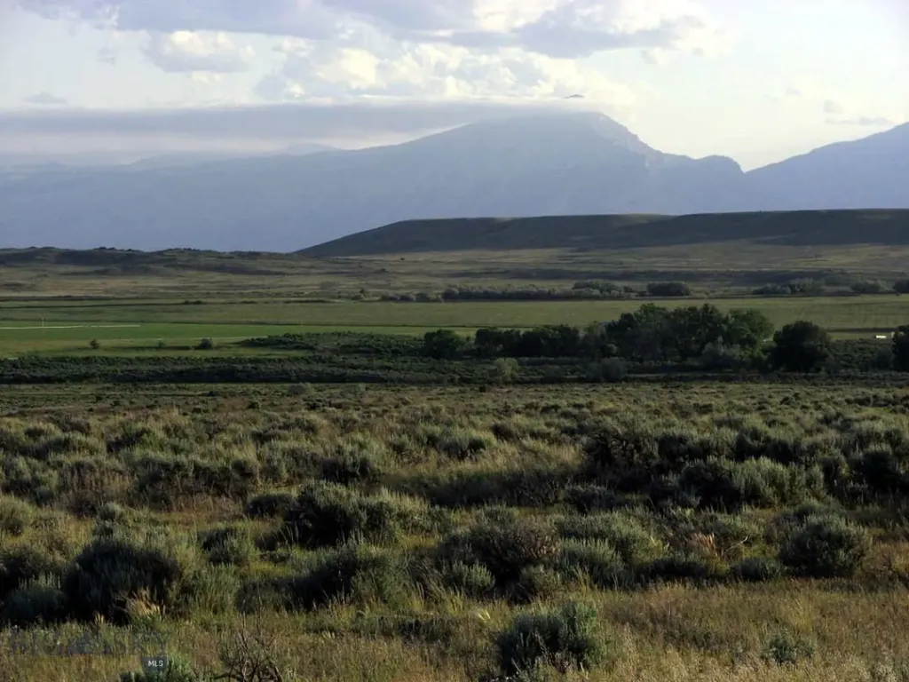 Nhn Brushland Drive Clark WY 82435