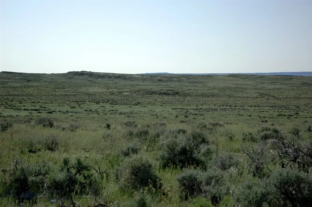 Nhn Brushland Drive Clark WY 82435