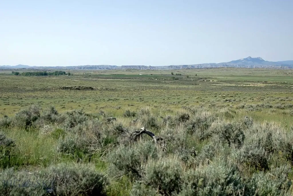 Nhn Brushland Drive Clark WY 82435