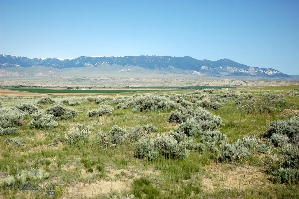 Nhn Brushland Drive Clark WY 82435