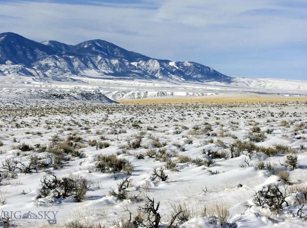 Nhn Brushland Drive Clark WY 82435
