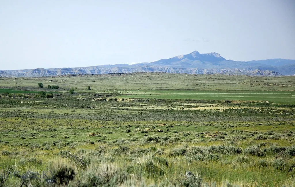 Nhn Brushland Drive Clark WY 82435