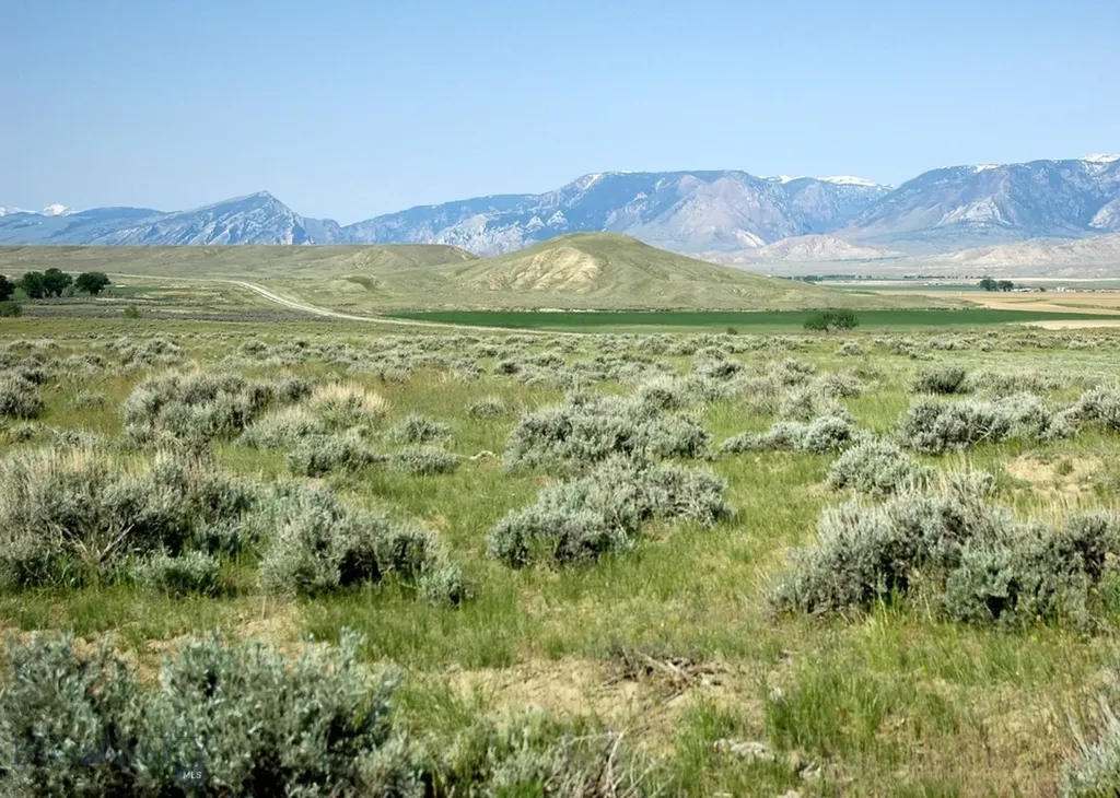 Nhn Brushland Drive Clark WY 82435