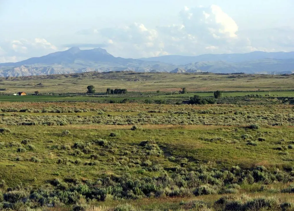 Nhn Brushland Drive Clark WY 82435