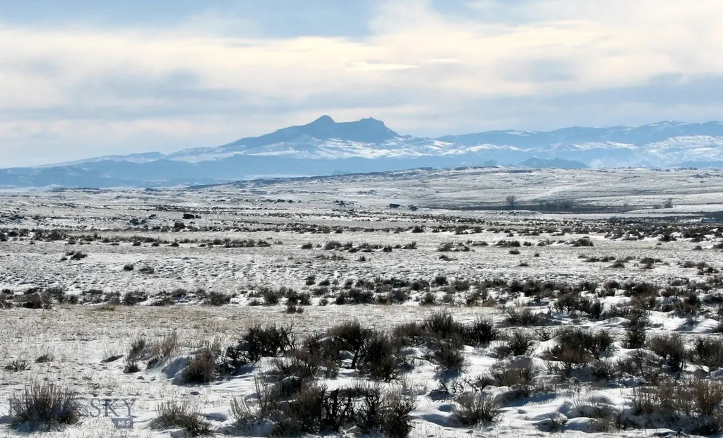 Nhn Brushland Drive Clark WY 82435