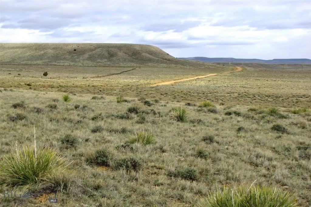 Tbd Deadman Creek Road Bridger MT 59014