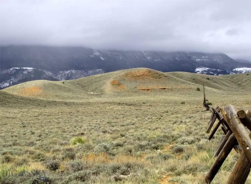 Tbd Deadman Creek Road Bridger MT 59014