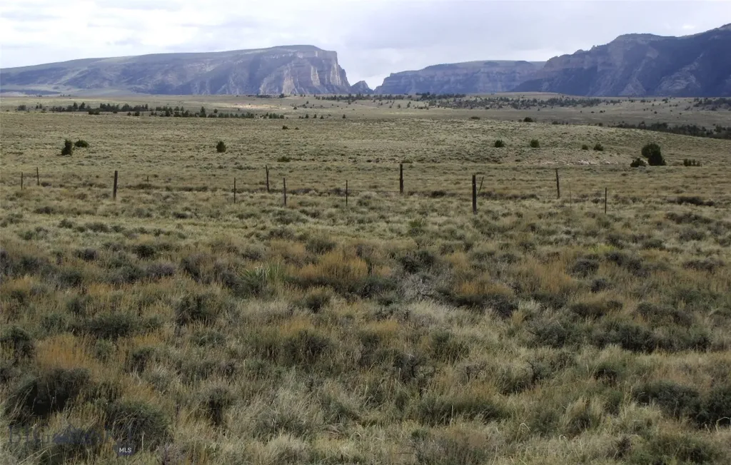 Tbd Deadman Creek Road Bridger MT 59014