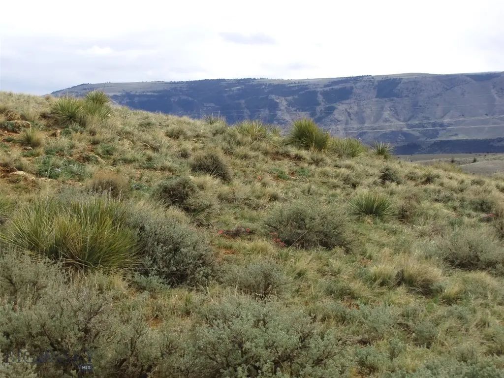 Tbd Deadman Creek Road Bridger MT 59014