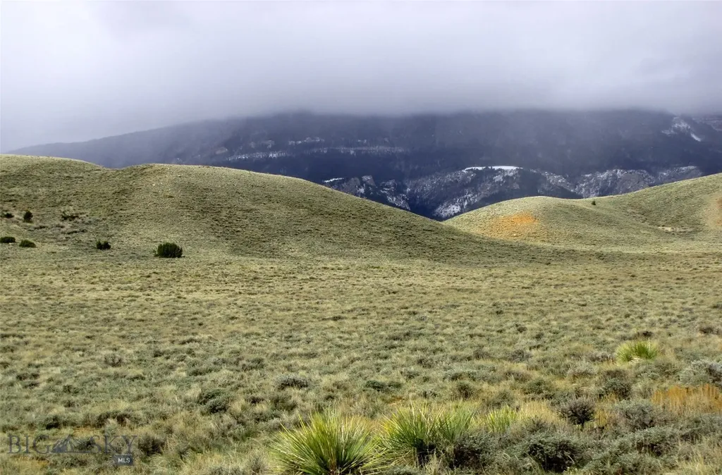 Tbd Deadman Creek Road Bridger MT 59014