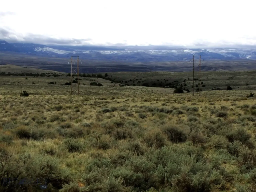 Tbd Deadman Creek Road Bridger MT 59014