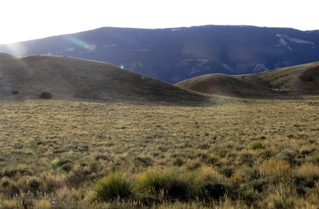 Tbd Deadman Creek Road Bridger MT 59014