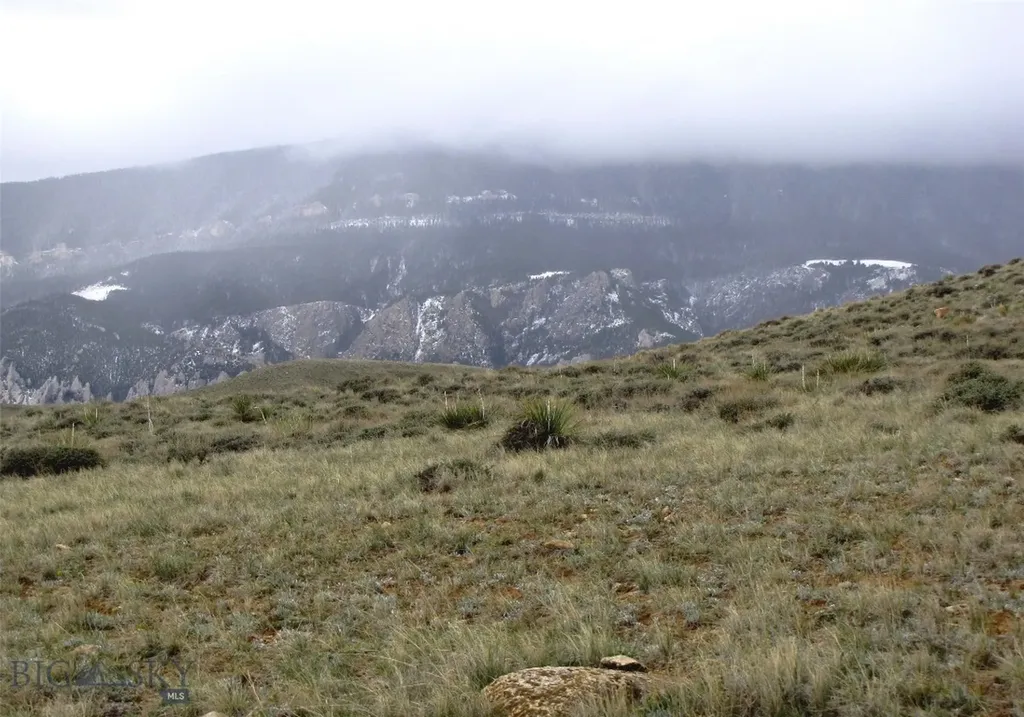 Tbd Deadman Creek Road Bridger MT 59014