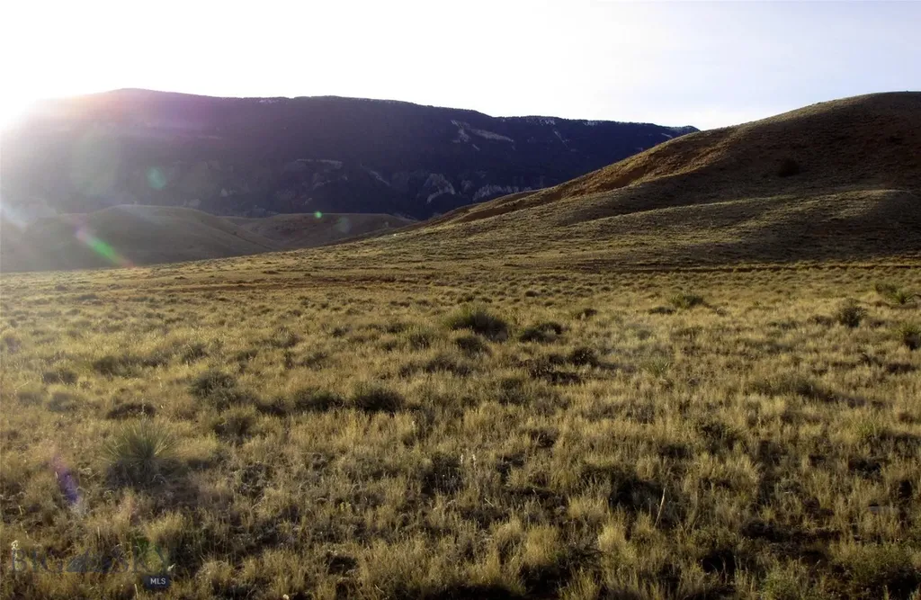 Tbd Deadman Creek Road Bridger MT 59014