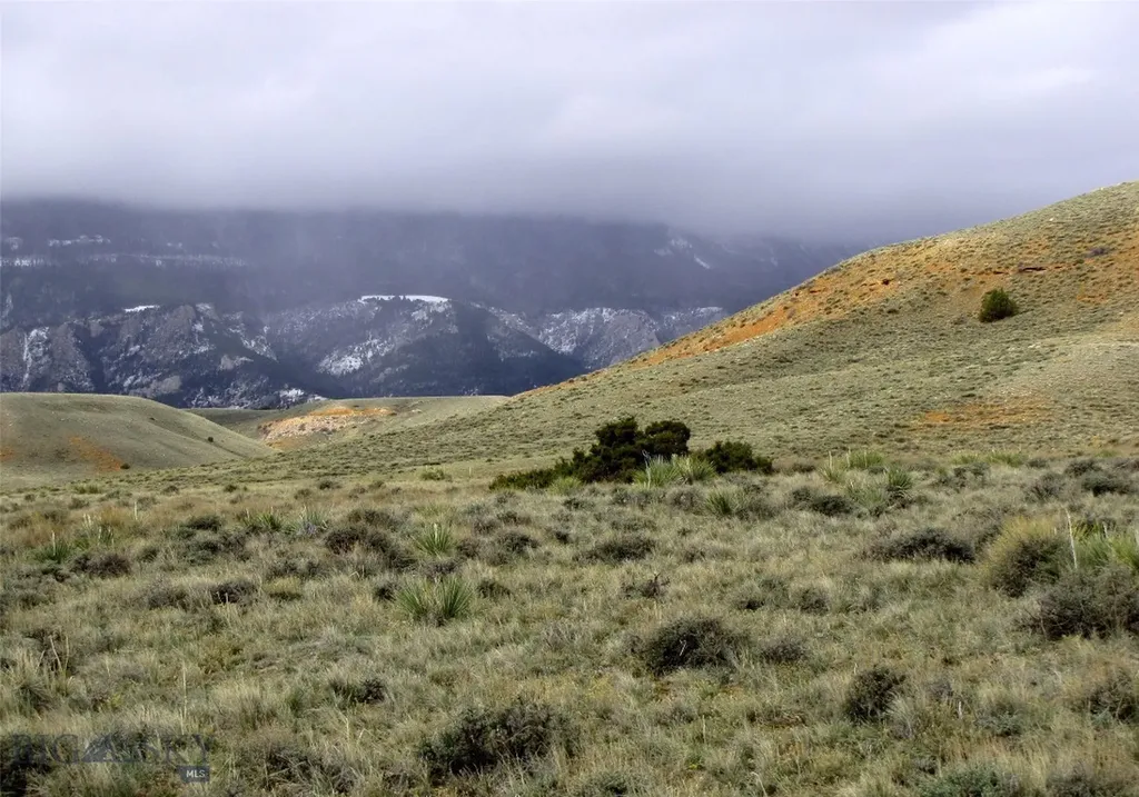 Tbd Deadman Creek Road Bridger MT 59014
