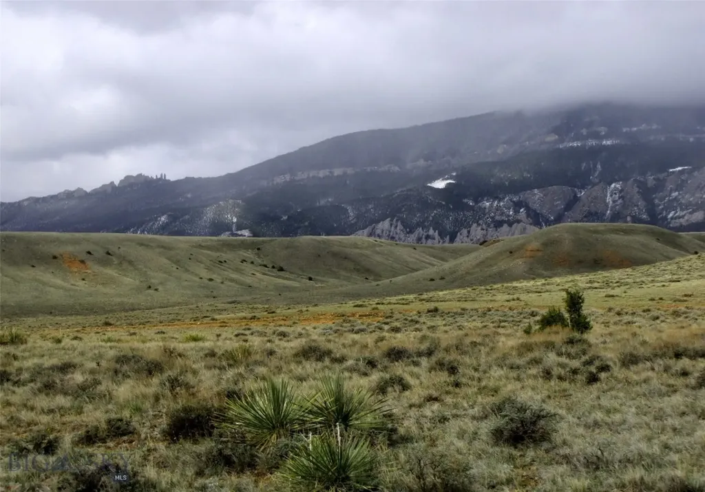 Tbd Deadman Creek Road Bridger MT 59014