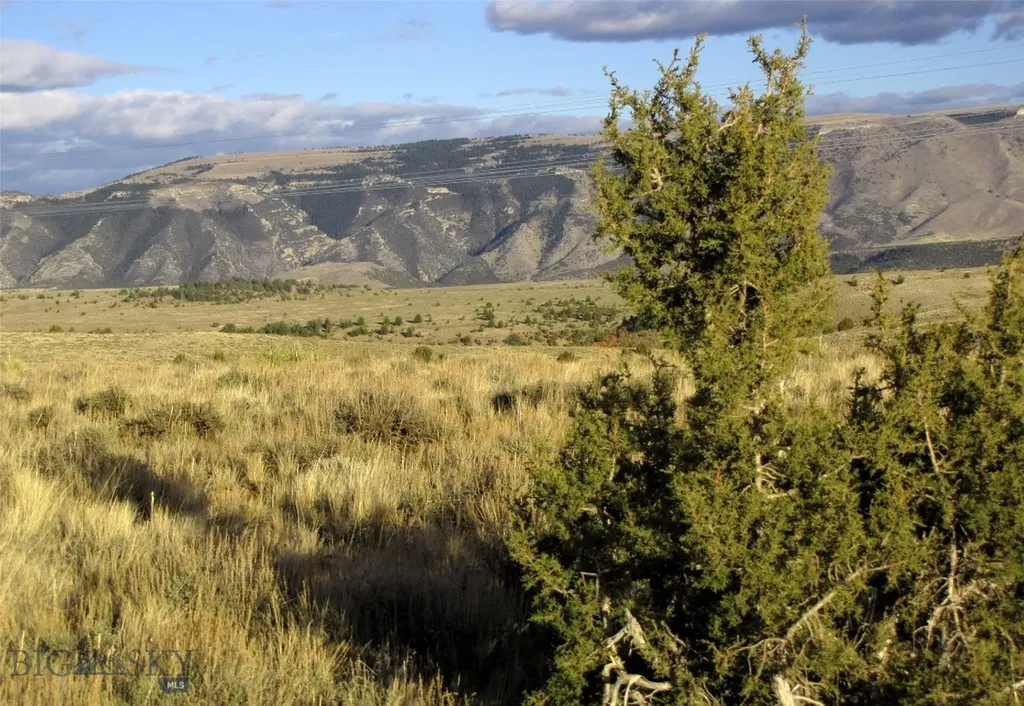 Tbd Deadman Creek Road Bridger MT 59014