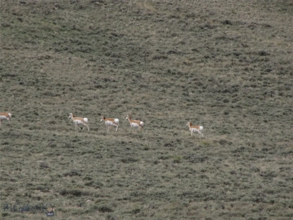 Tbd Deadman Creek Road Bridger MT 59014