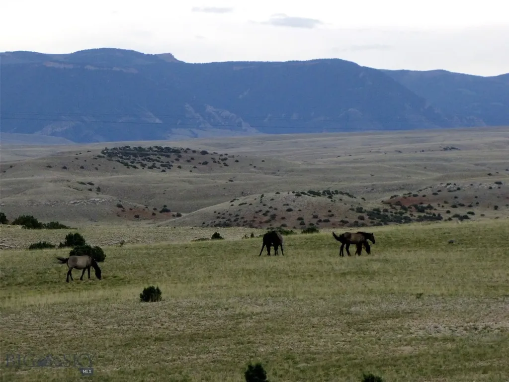 Tbd Deadman Creek Road Bridger MT 59014