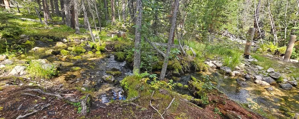 Dillon MT 59725